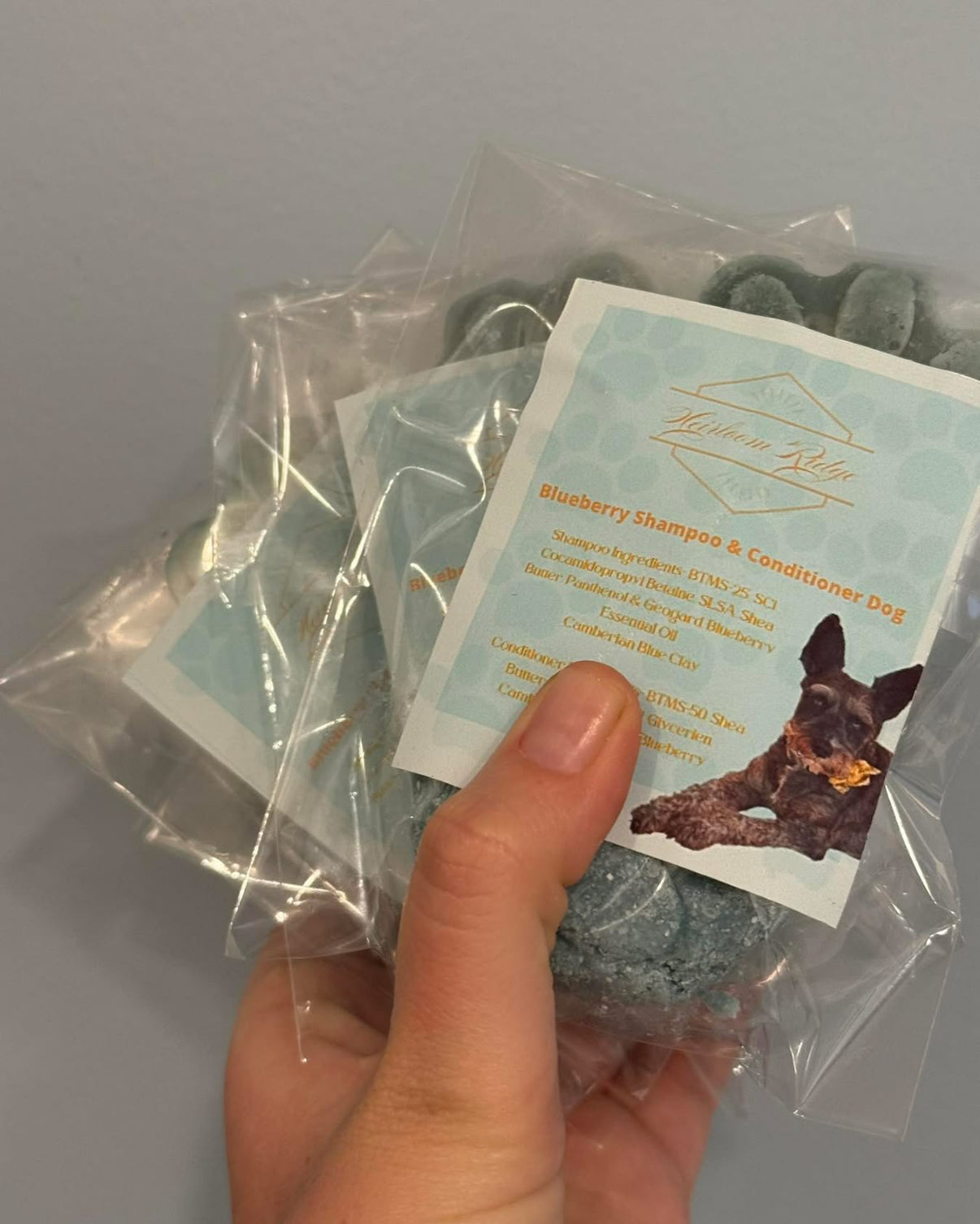 Blueberry Dog Shampoo & Conditioner