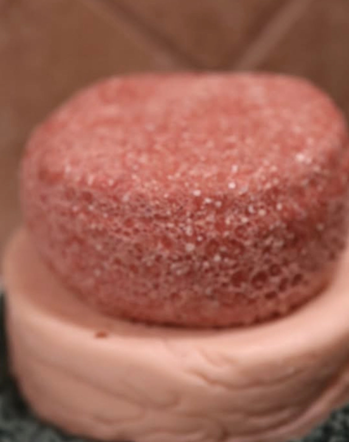 Strawberry Shampoo and Conditioner Bundle