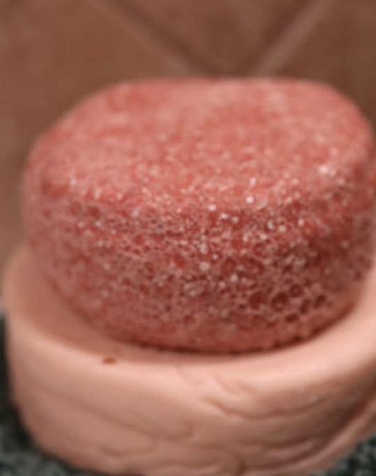 Strawberry Shampoo and Conditioner Bundle